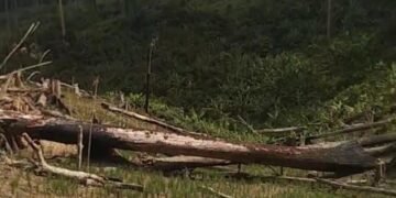 Warga Soroti Dugaan Perusakan TN Rawa Aopa Watumohai