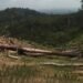 Warga Soroti Dugaan Perusakan TN Rawa Aopa Watumohai