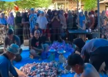 Sapi Kurban Jumbo Bahtra Banong Jadi Perhatian Warga Onembute
