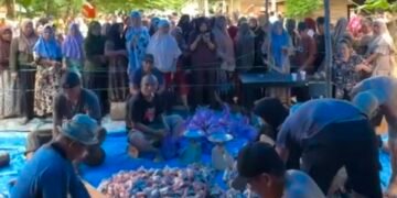 Sapi Kurban Jumbo Bahtra Banong Jadi Perhatian Warga Onembute
