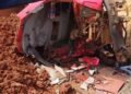 Tabrakan Dua Truk Pengangkut Nikel di Kolut, Sopir Dilaporkan Tewas di Tempat